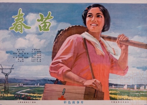统计师证能办假的吗